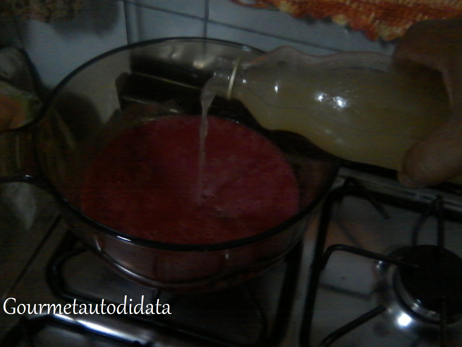 GOURMET AUTODIDATA BASE PARA GELEIAS PECTINA I